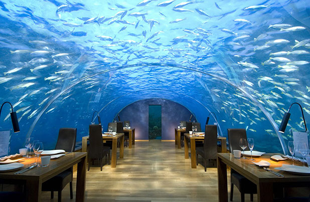 amazing hotels amazing hotels