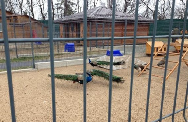 палат палат