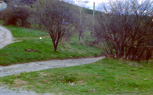 царичина царичина