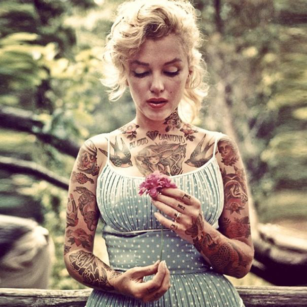 cheyenne randall cheyenne randall