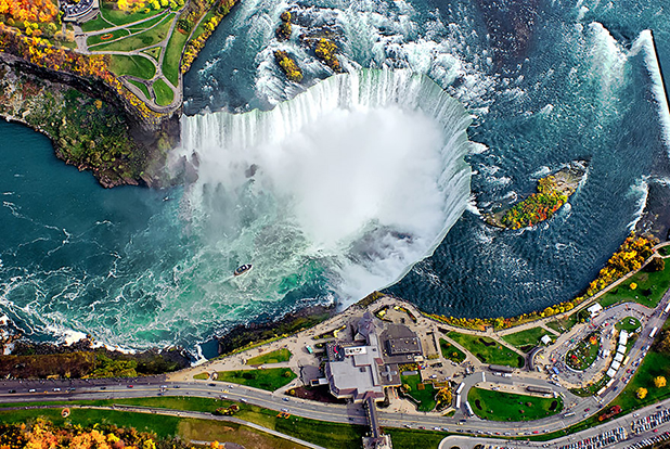 bird eye bird eye