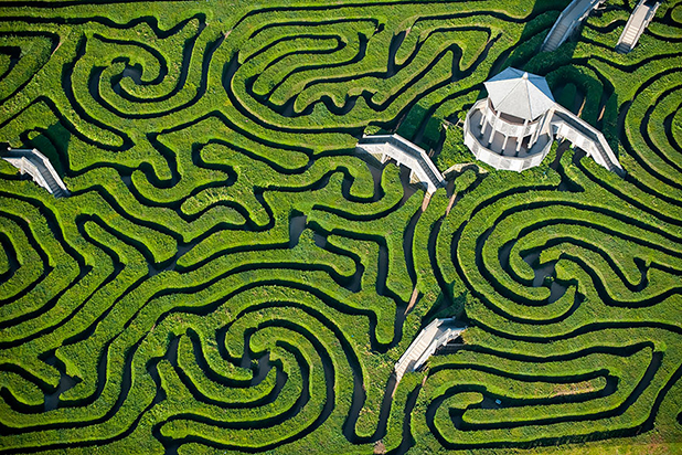 bird eye bird eye