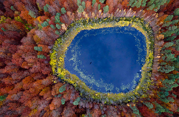 bird eye bird eye