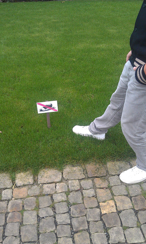 rebels rebels