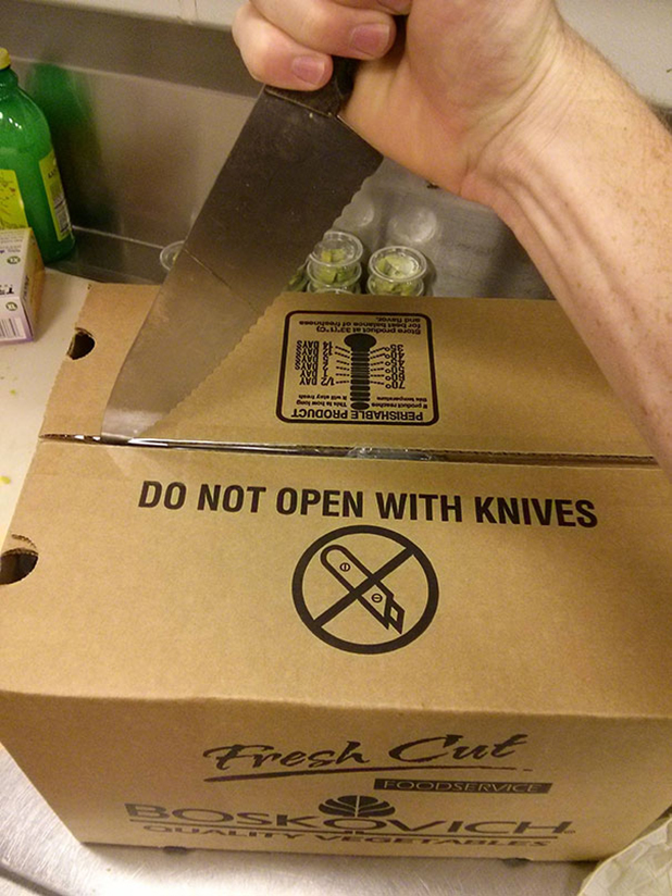 rebels rebels