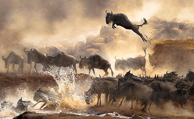sony 2014 sony 2014