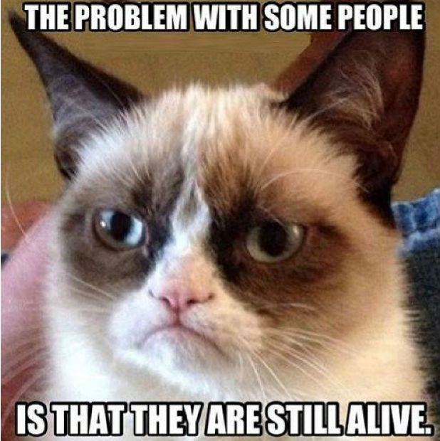 Grumpy Grumpy