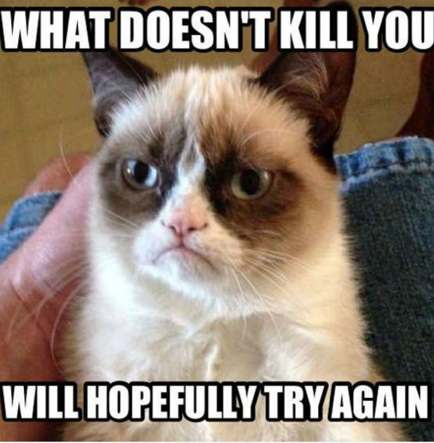 grumpy grumpy