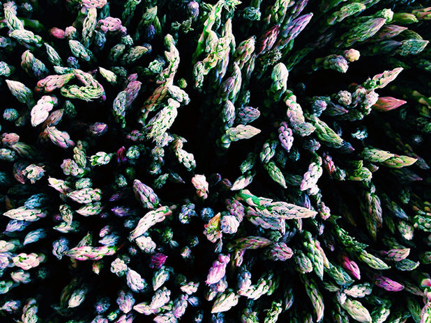 iphone photos of the year iphone photos of the year