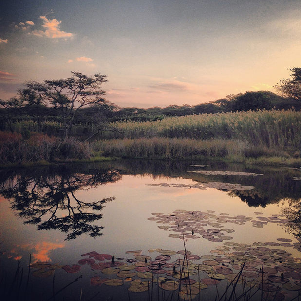 iphone photos of the year iphone photos of the year