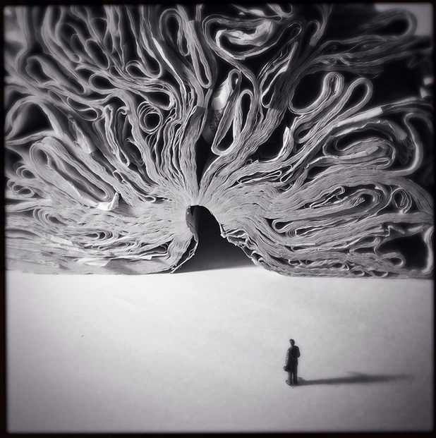 iphone photos of the year iphone photos of the year