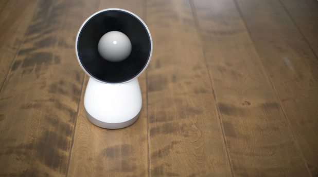 Jibo Jibo