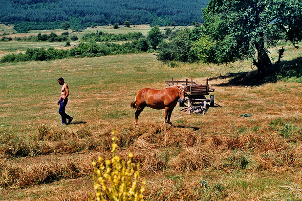 село село