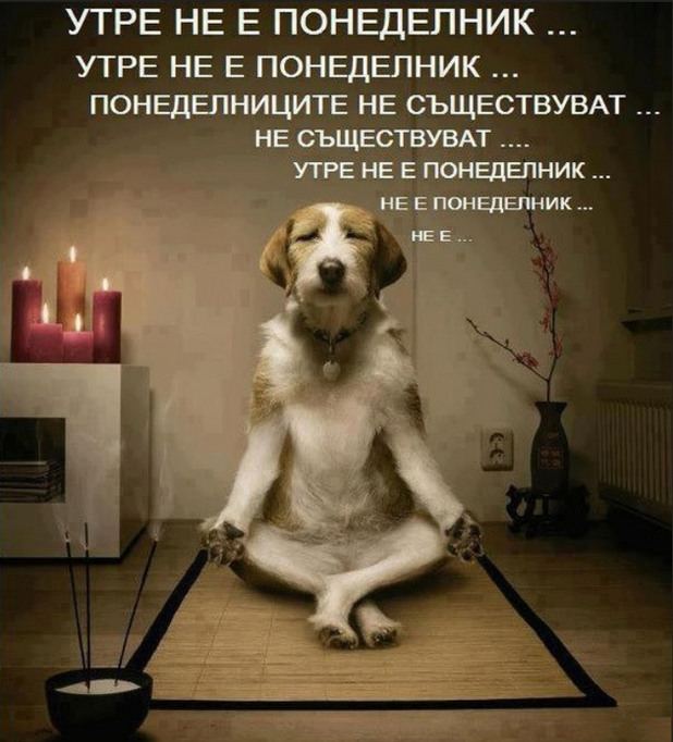 фен страници фен страници