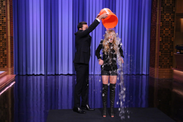 ice bucket challenge ice bucket challenge