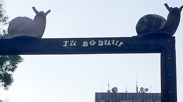 ти водиш ти водиш