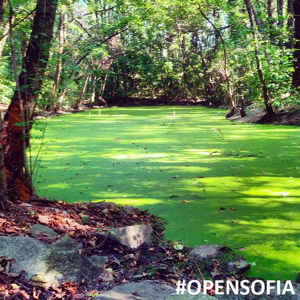 opensofia opensofia