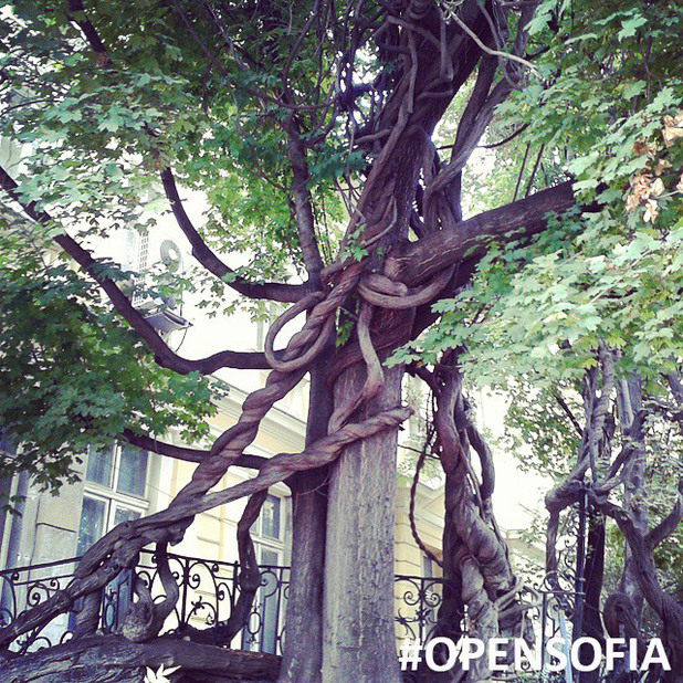 opensofia opensofia