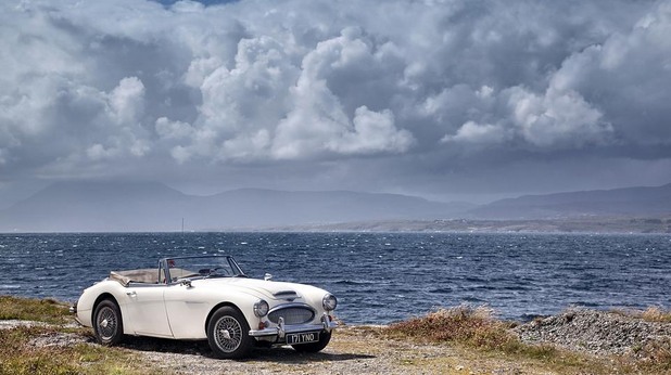 austin healey austin healey