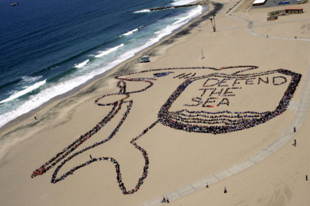 Defend the sea Defend the sea