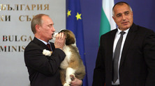 putinboyko