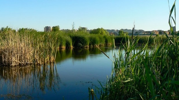 Вакарещи Вакарещи
