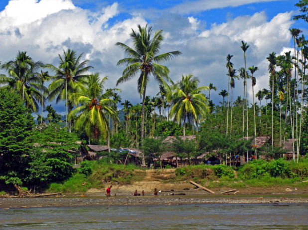 The Kokoda And Black Cat Trails The Kokoda And Black Cat Trails