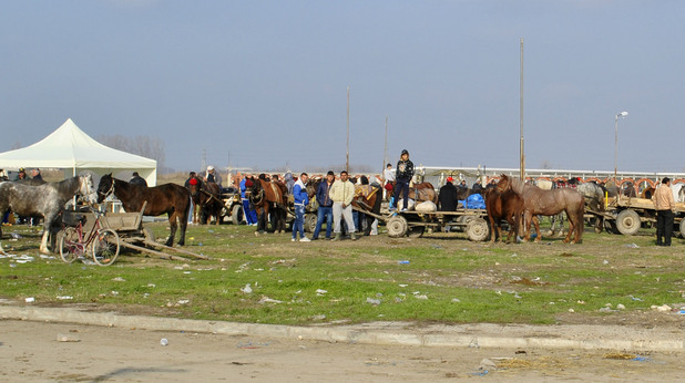 пазар на коне пазар на коне