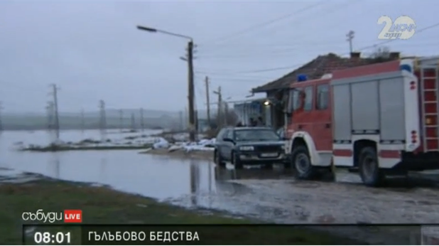 гълъбово гълъбово
