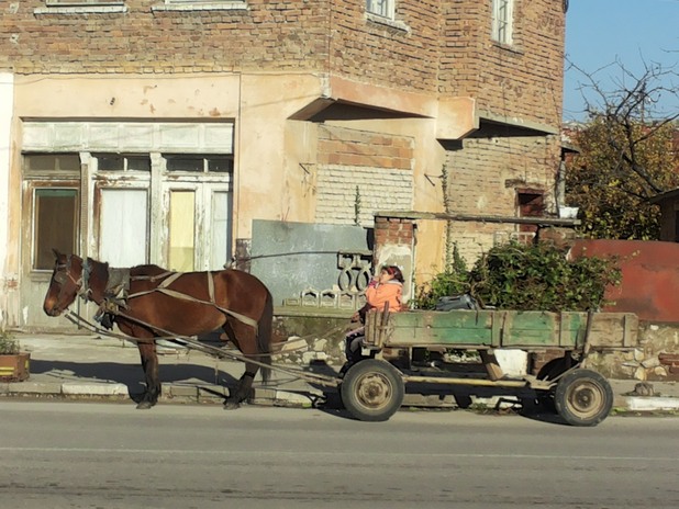каручката каручката