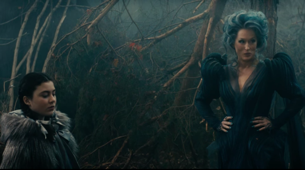 Into the woods Into the woods