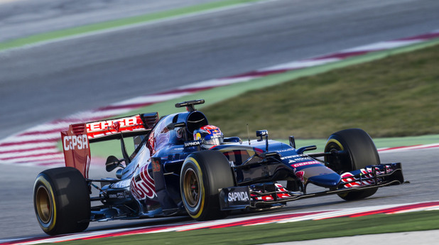 toro rosso toro rosso