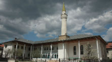 Сърница 221
