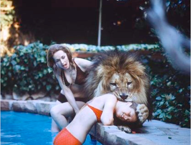 roar roar
