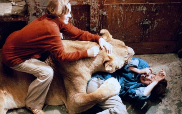 roar roar