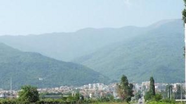 петрич петрич