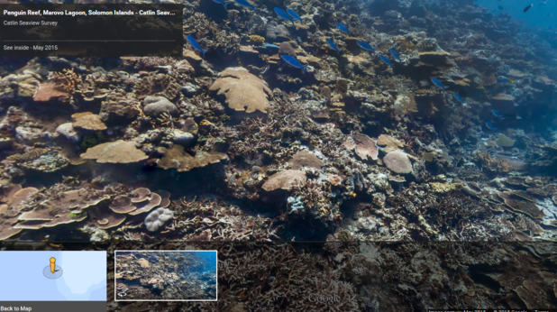 Google Street View предлага разходка под вода Google Street View предлага разходка под вода