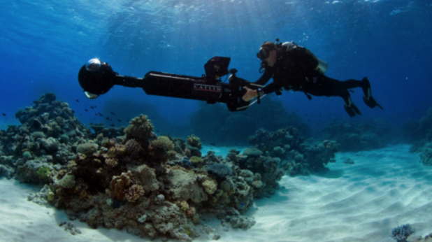 Google Street View предлага разходка под вода Google Street View предлага разходка под вода
