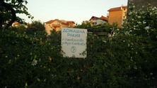 rakiya