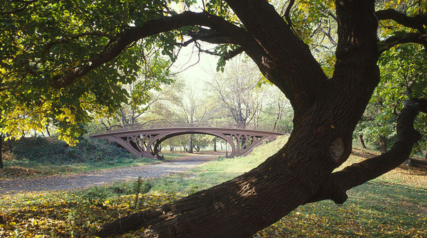 Central Park Central Park