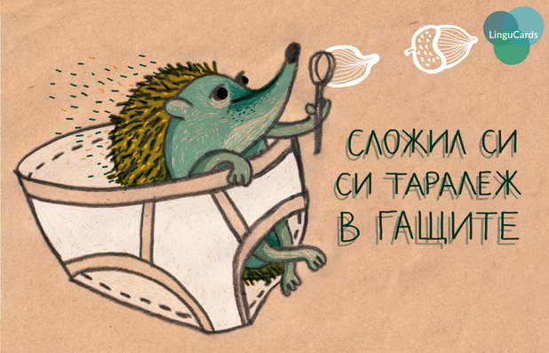 лингукартички лингукартички