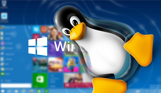 windows vs linux windows vs linux