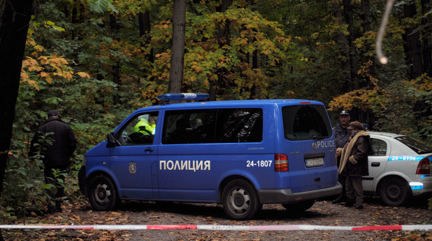 Дърво премаза мъж в Борисовата градина Дърво премаза мъж в Борисовата градина