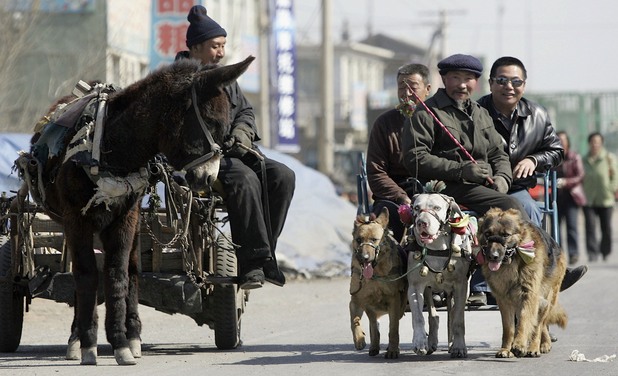 Чанчун, Китай Чанчун, Китай