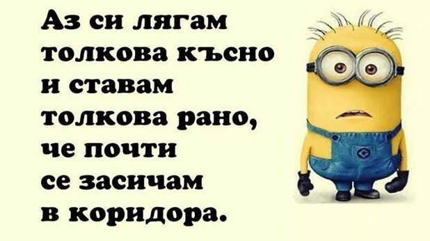 Шеги в интернет Шеги в интернет