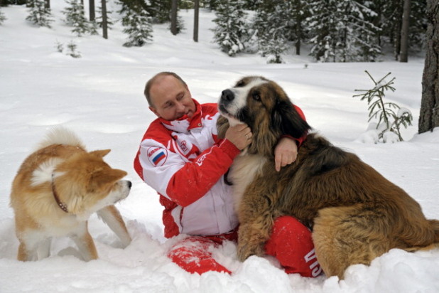 владимир путин владимир путин