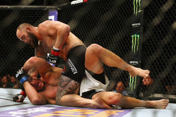 ufc, травис браун, мат митрион ufc, травис браун, мат митрион