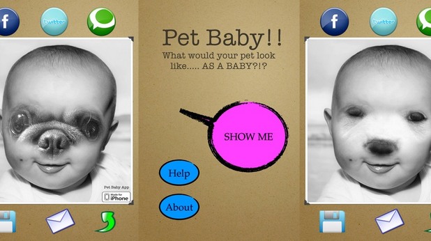 pet baby pet baby