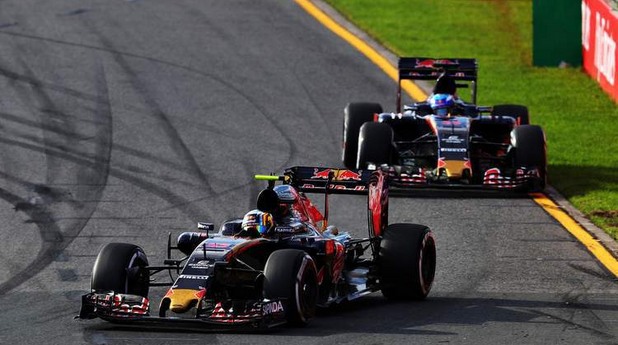 toro rosso toro rosso