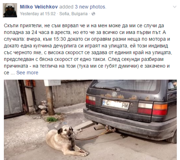 куче на теглич куче на теглич
